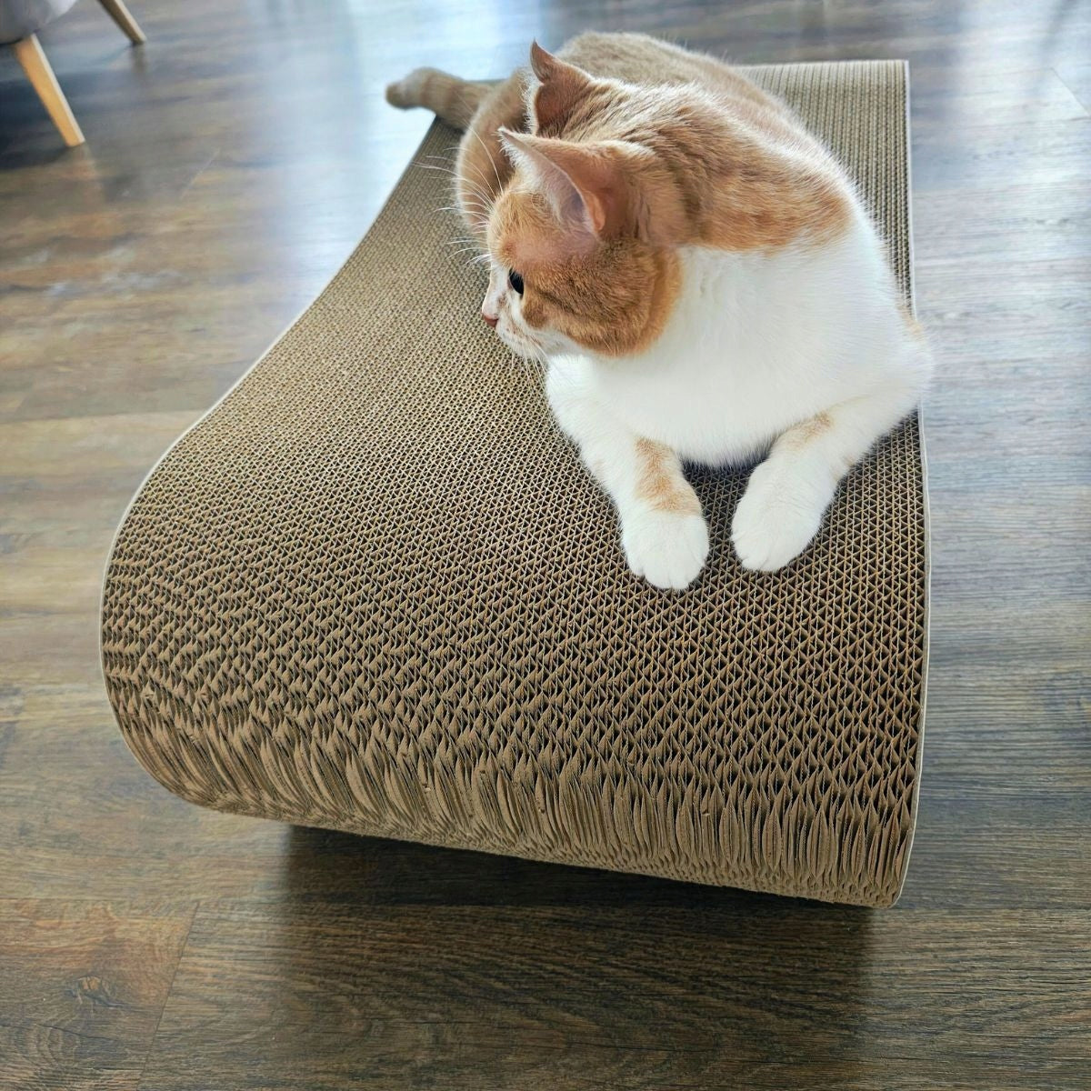 CAT SCRATCHER CARDBOARD LARGE LEON XXL BED 78x28x40 cm Mruu&Pruu Number of levels 2