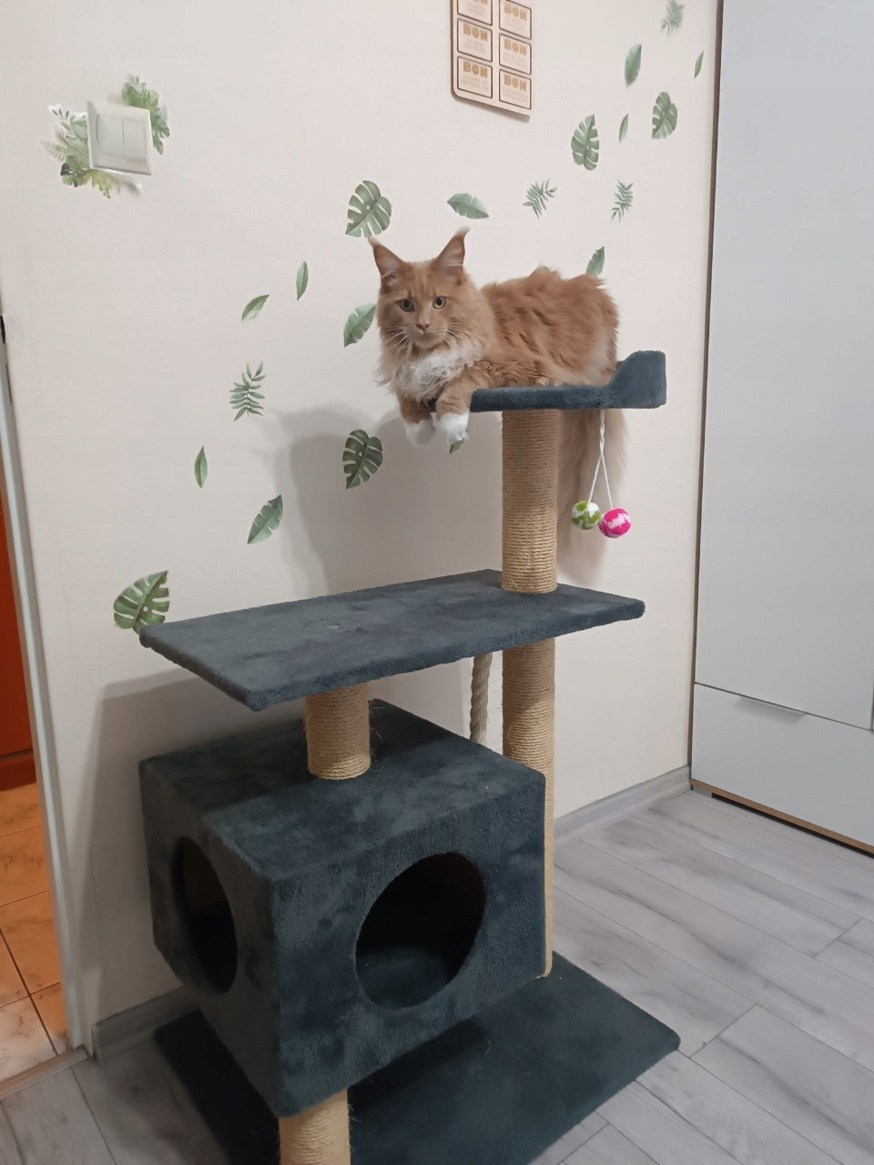 CAT SCRATCHER No. 017B LARGE CAT XL MAINE COON Kind tall scratching post