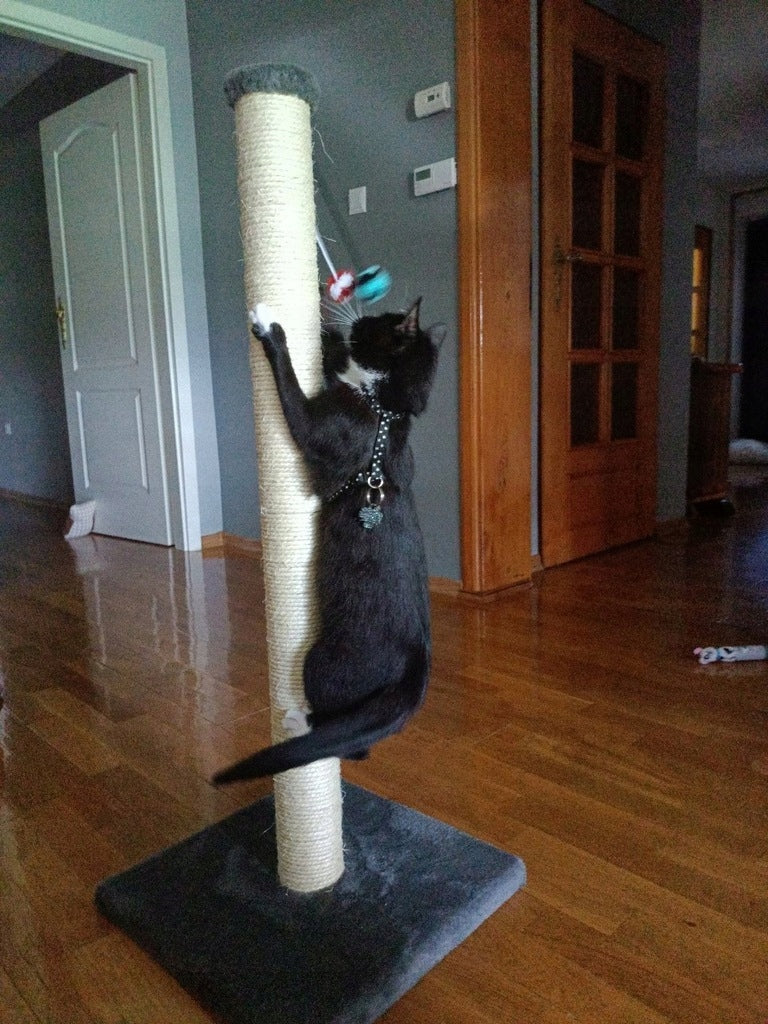 CAT SCRATCHER No. 03 , foot 100 cm , LARGE CAT Number of levels 1