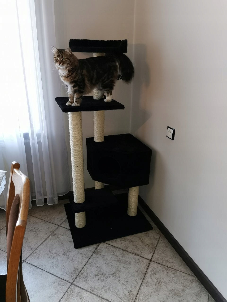 CAT SCRATCHER No.043 scratching posts for cats Brand Dep-Mal