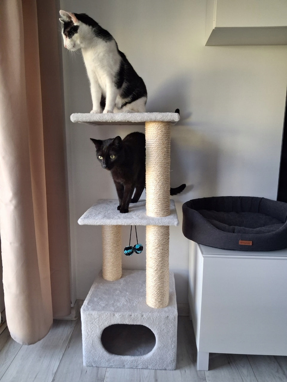 CAT SCRATCHER No.09 - scratchers for cats, Brand Dep-Mal