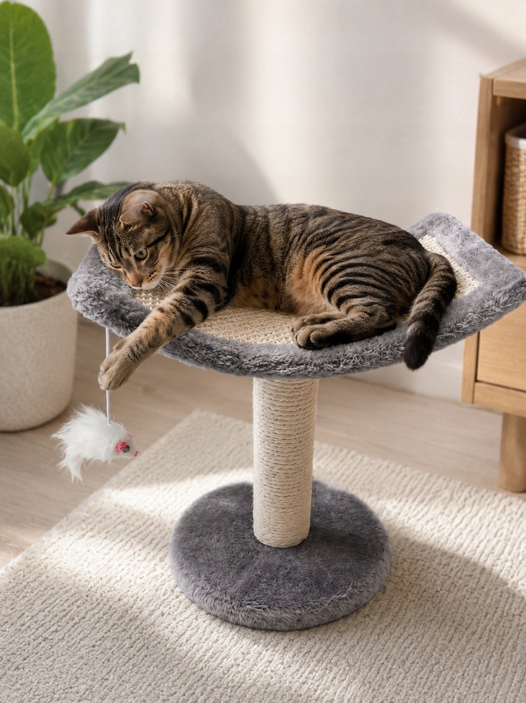 CAT SCRATCHER WITH BED CAT TOY