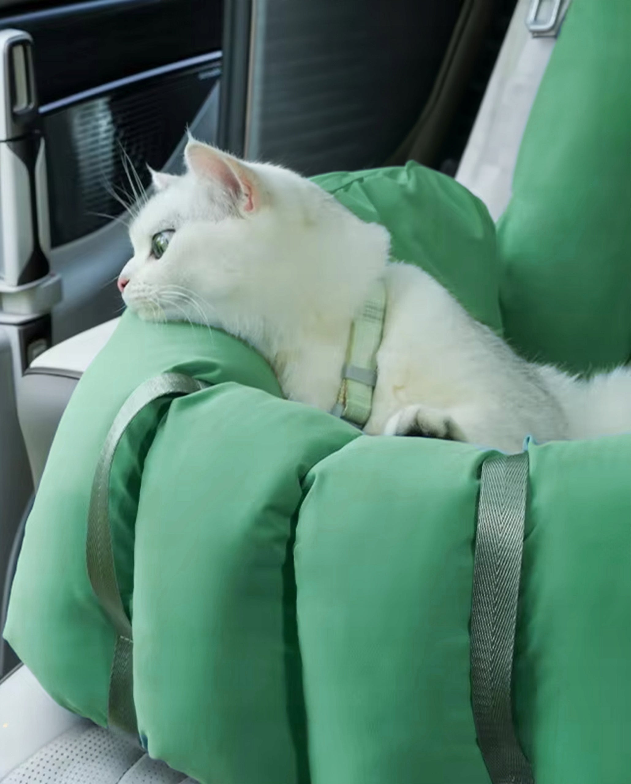 CAT TRANSPORTER Car Seat Dog Bed with Clasp Fazoo Packaging status original