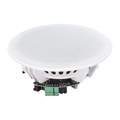 CEILING SPEAKER ACTIVE BLUETOOTH 60W FLUSH MOUNT STEEL Brand no brand
