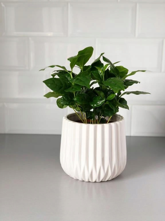 CERAMIC FLOWER POT COVER 16 x 13cm WHITE MODERN Product height 13 cm