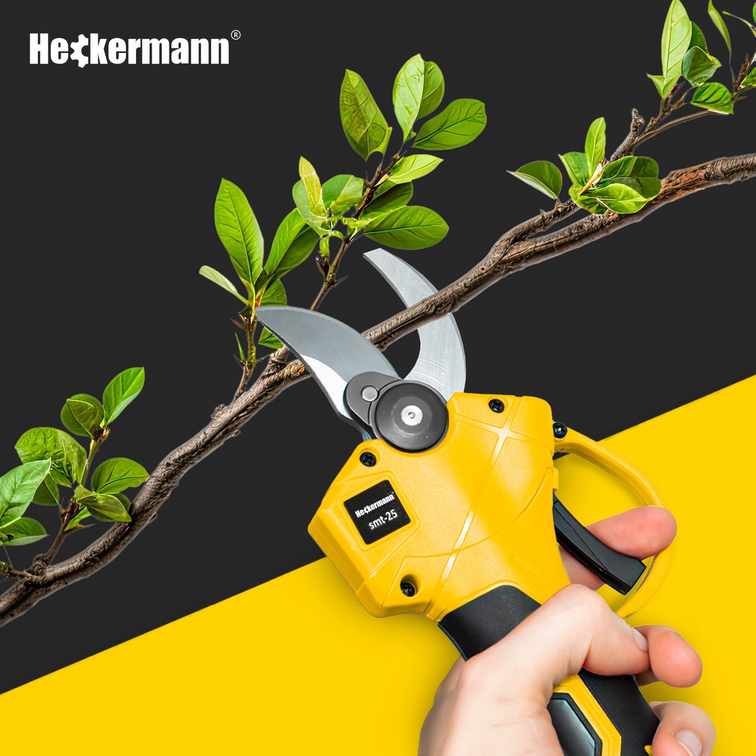 CHAINSAW + CORDLESS PRUNER BRANCH 2xAKU + BOOM 200 CM Guide length 6 cm