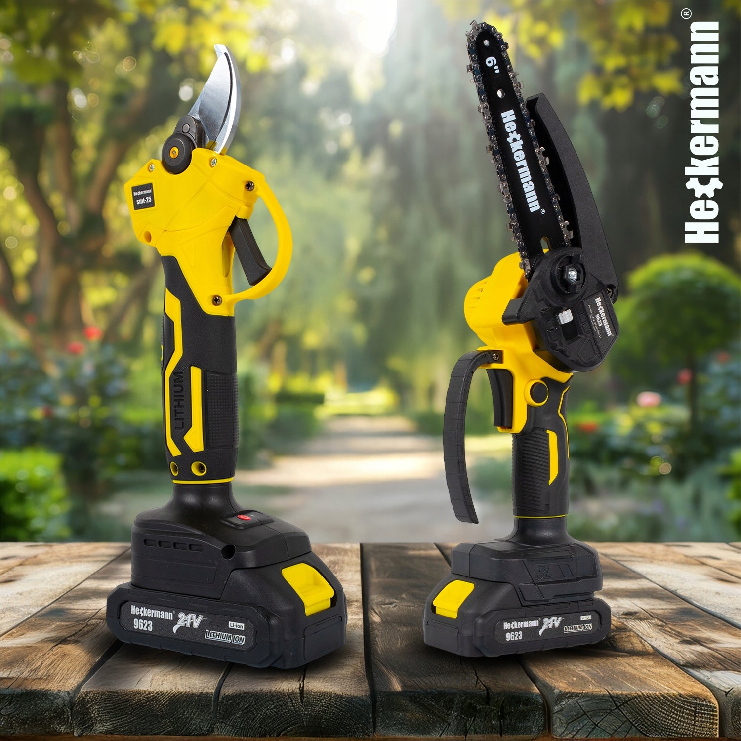 CHAINSAW + CORDLESS PRUNER BRANCH 2xAKU + BOOM 200 CM Packaging status original