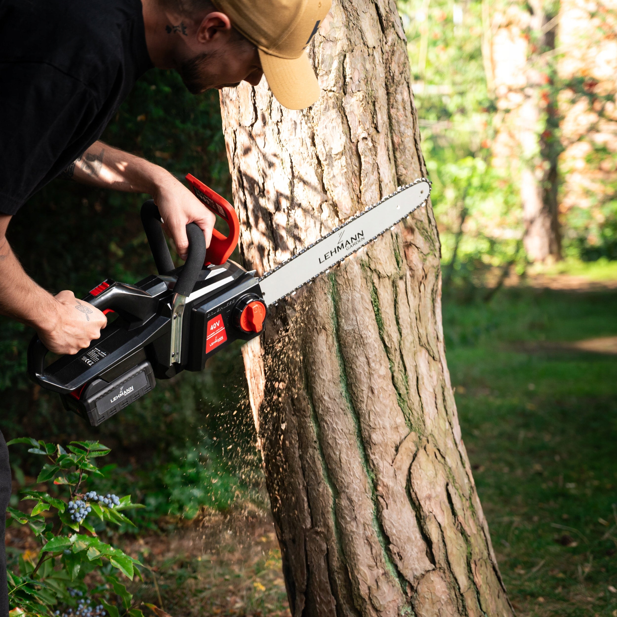 CHAINSAW CORDLESS WOOD BRANCH STRONG AKU 40V 41cm Series GAŁĘZIÓWKA DO DREWNA MOCNA ZESTAW 40V