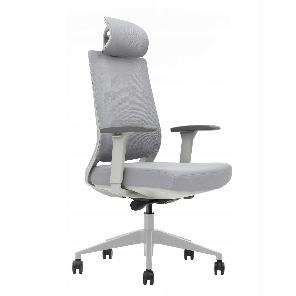 CHAIR ERGONOMIC CHAIR FOR DESK LIGHT GREY HEALTHY SPINE NORM BHP