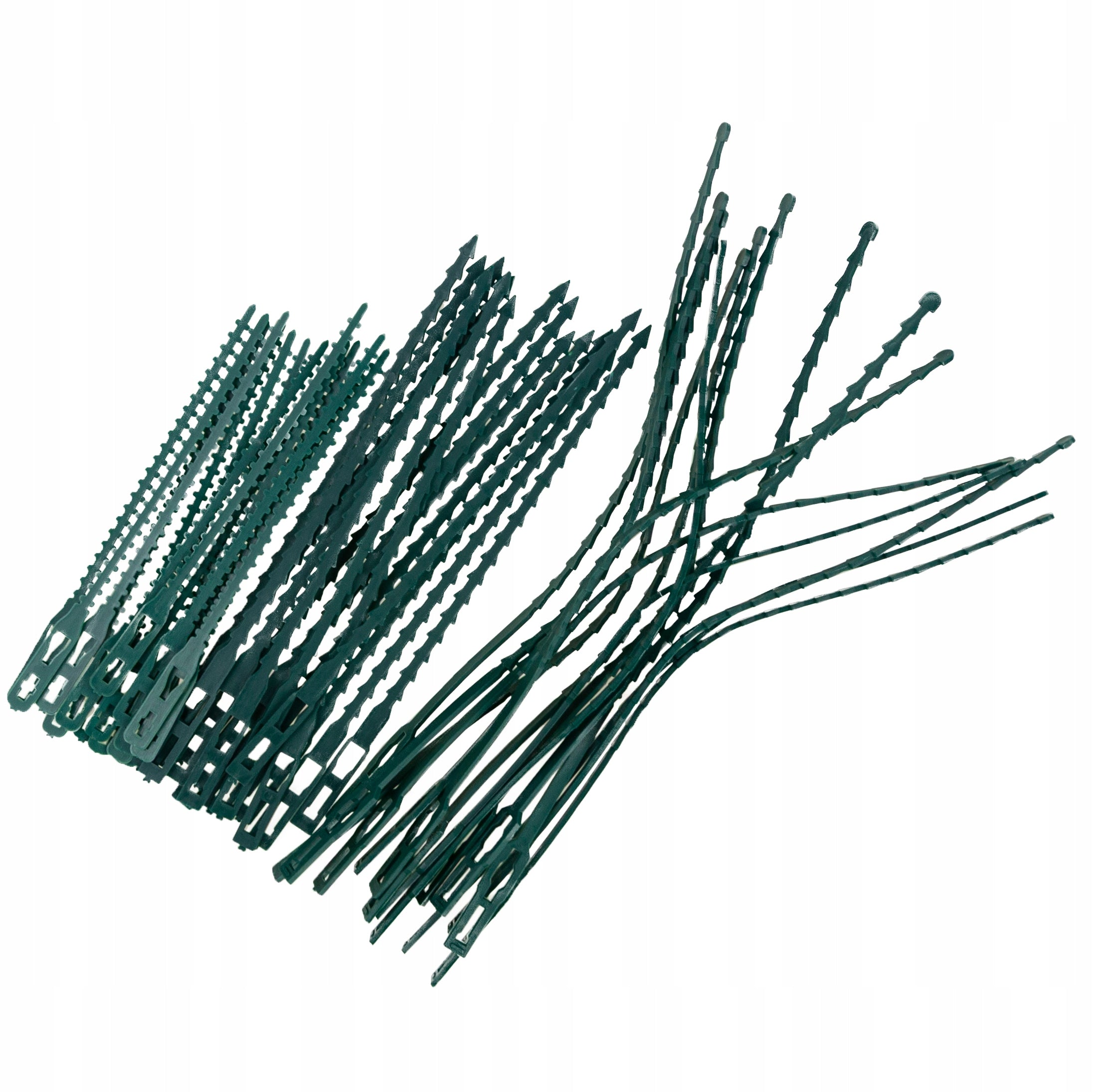CLAMP BANDS PLANT CLIPS POLE FIXING STEMS 45pcs 3 sizes Brand Martom