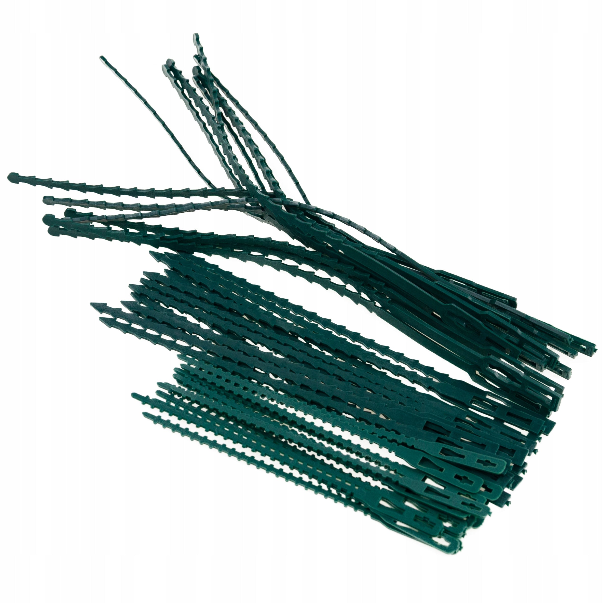 CLAMP BANDS PLANT CLIPS POLE FIXING STEMS 45pcs 3 sizes Number of pieces 45 pcs