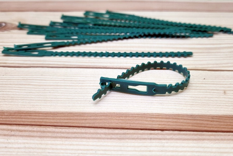 CLAMP for attaching PLANTS to supports x10 Color green