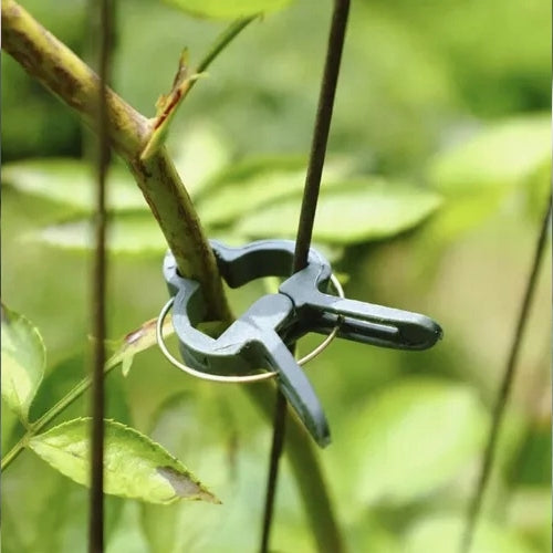 CLASPS CLIPS FOR FLOWER PLANTS STEMS STEM FIXING STEMS Brand no brand