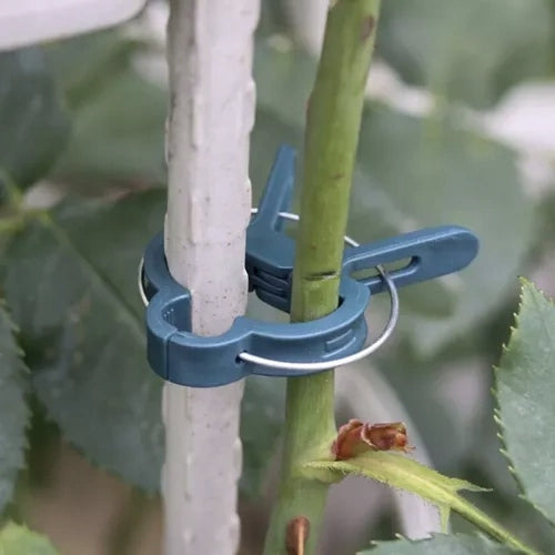 CLASPS CLIPS FOR FLOWER PLANTS STEMS STEM FIXING STEMS Manufacturer code ZAPINKI KLIPSY SPINACZE DO ROŚLIN KWIATÓW ŁOD