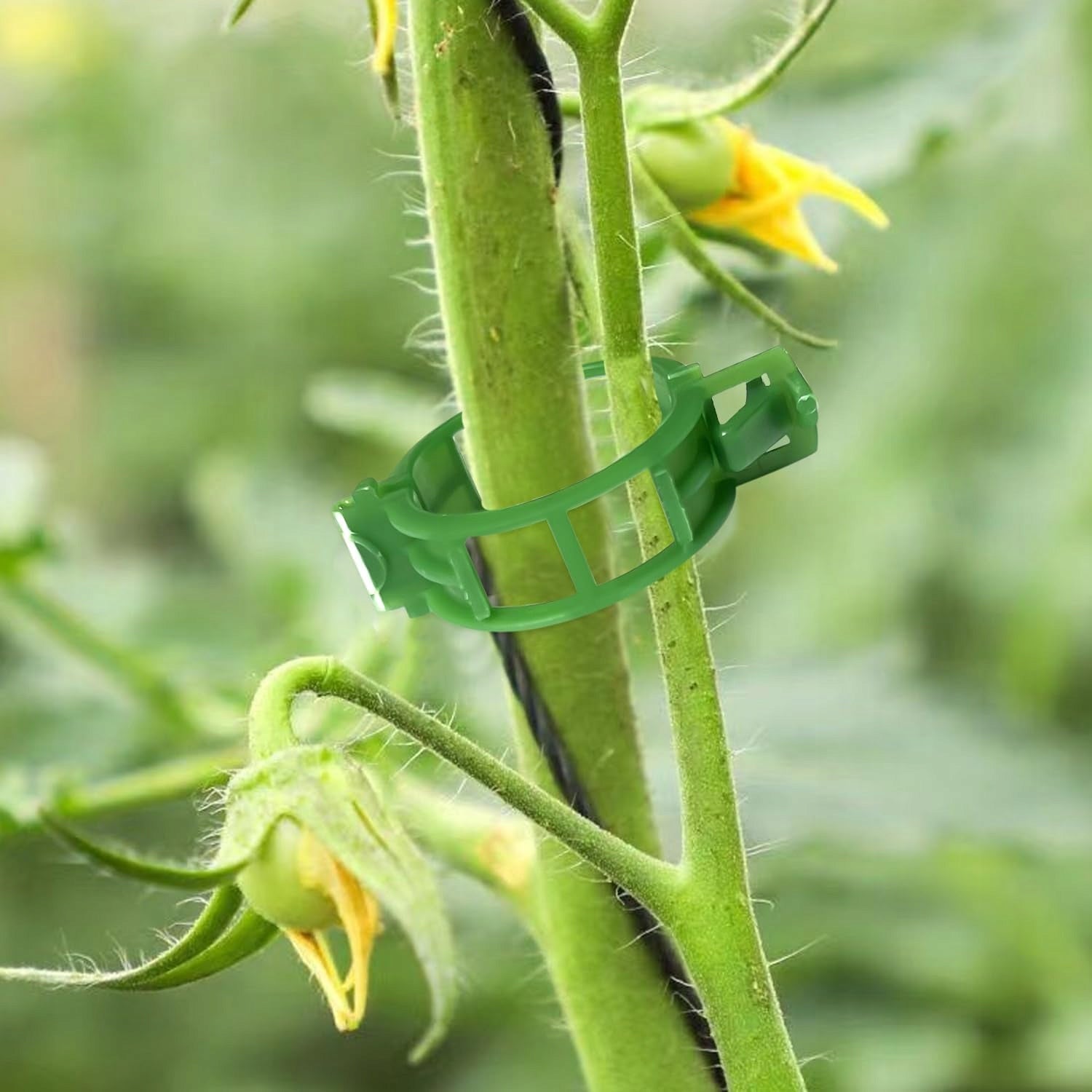 CLASPS CLIPS FOR TOMATOES PLANTS BEANS SHOOTS 50 PIECES Color black