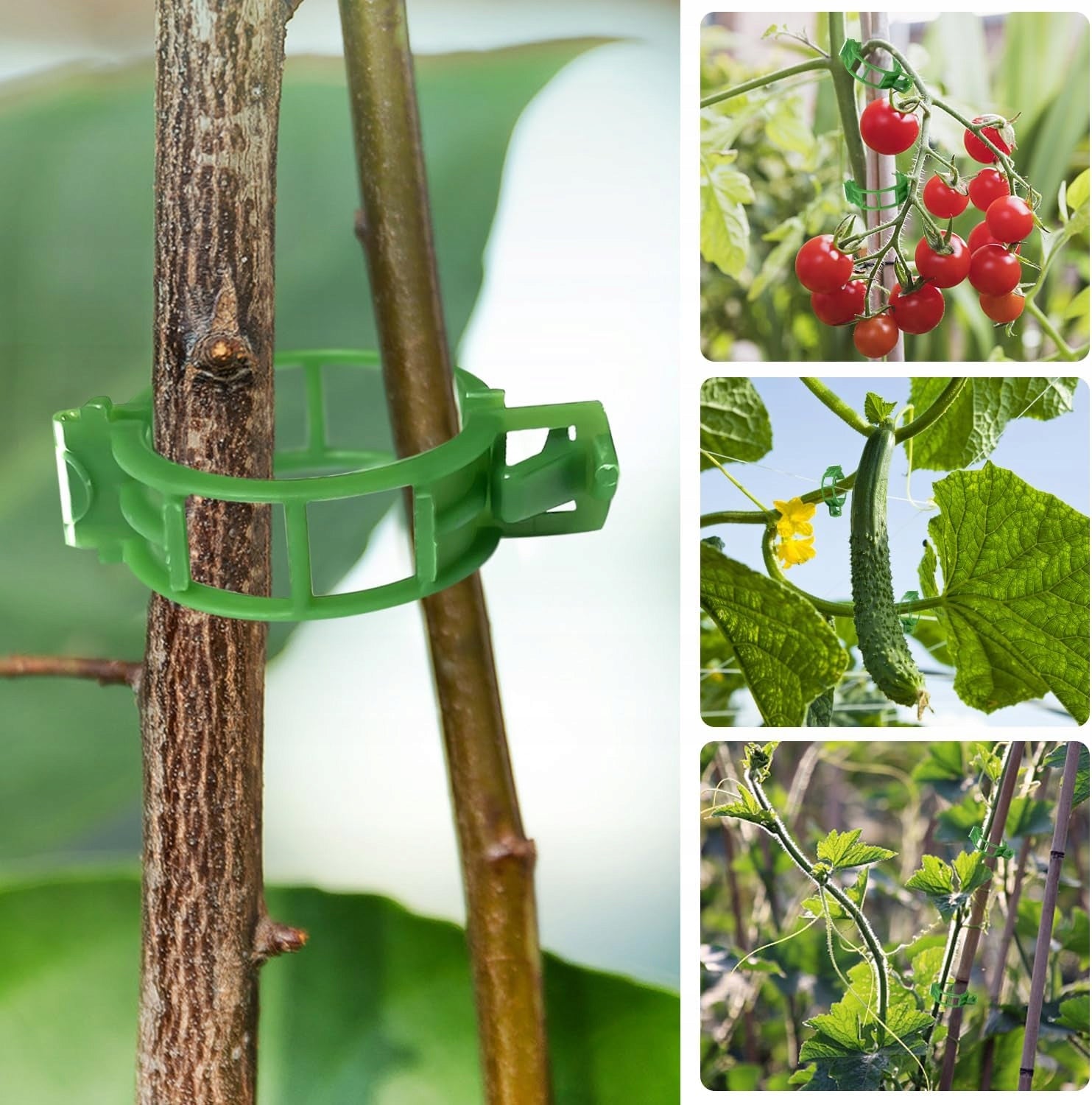CLASPS CLIPS FOR TOMATOES PLANTS BEANS SHOOTS 50 PIECES Manufacturer code ZAPINKI KLIPSY POMIDORÓW ROŚLIN FASOLI