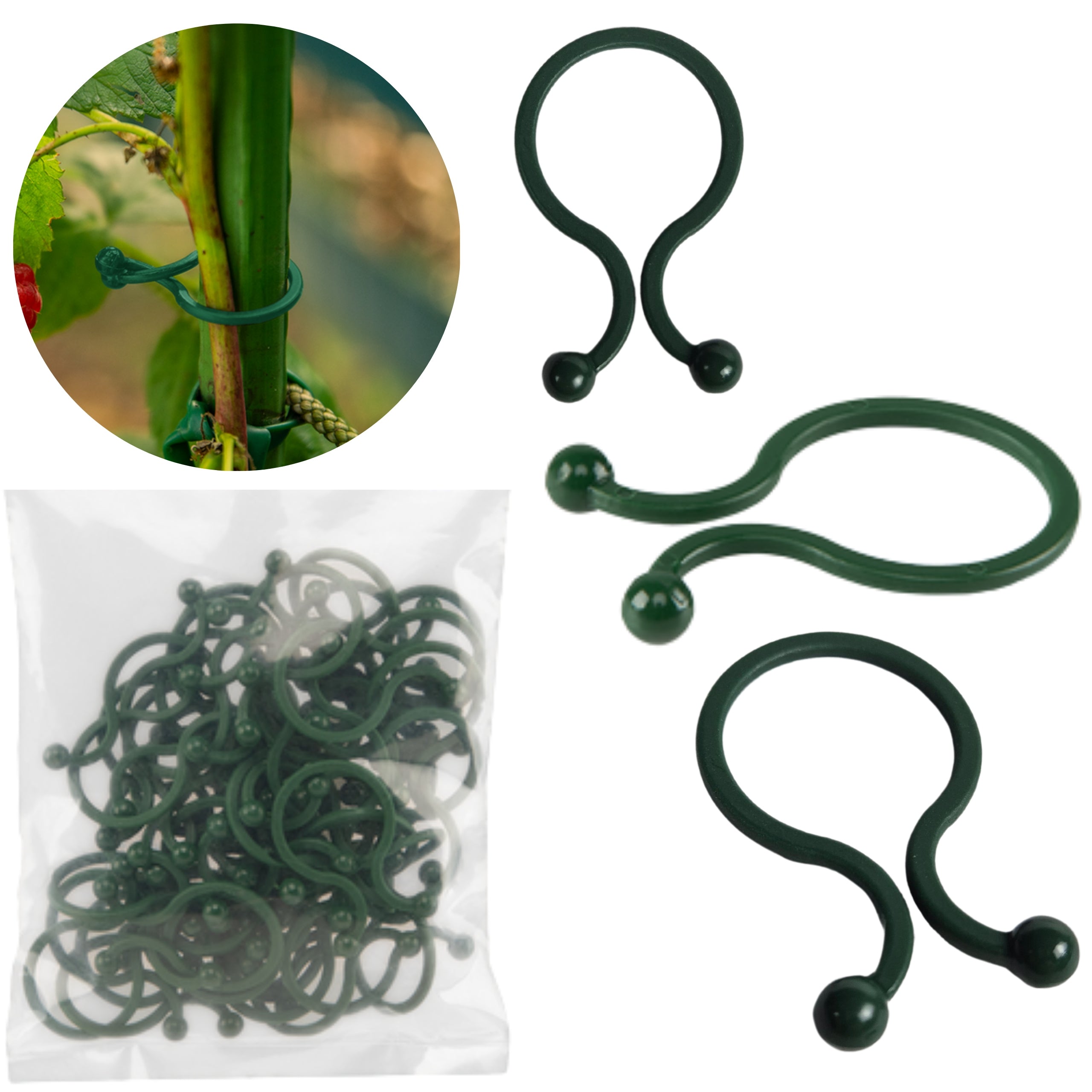 CLASPS FOR FASTENING TOMATOES FIXING PLANTS WITH BUCKLE SUPPORTS CLIP
