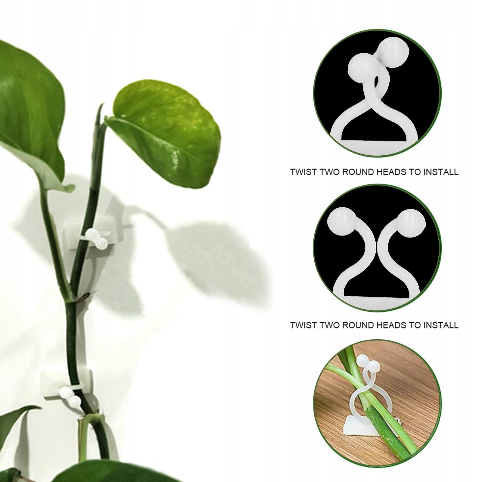 CLIP HOLDER FOR FIXING PLANT CREEPERS 35mm 100PCS SELF ADHESIVE HOOK EAN (GTIN) 647939777889