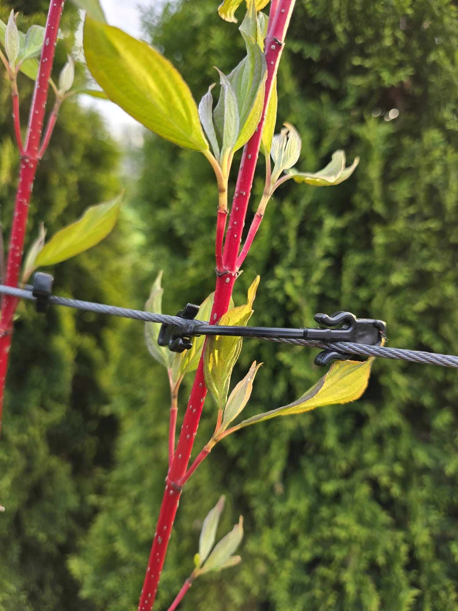 CLIP for plants of shrub trees 500 pcs. PL MANUFACTURER Manufacturer code T04