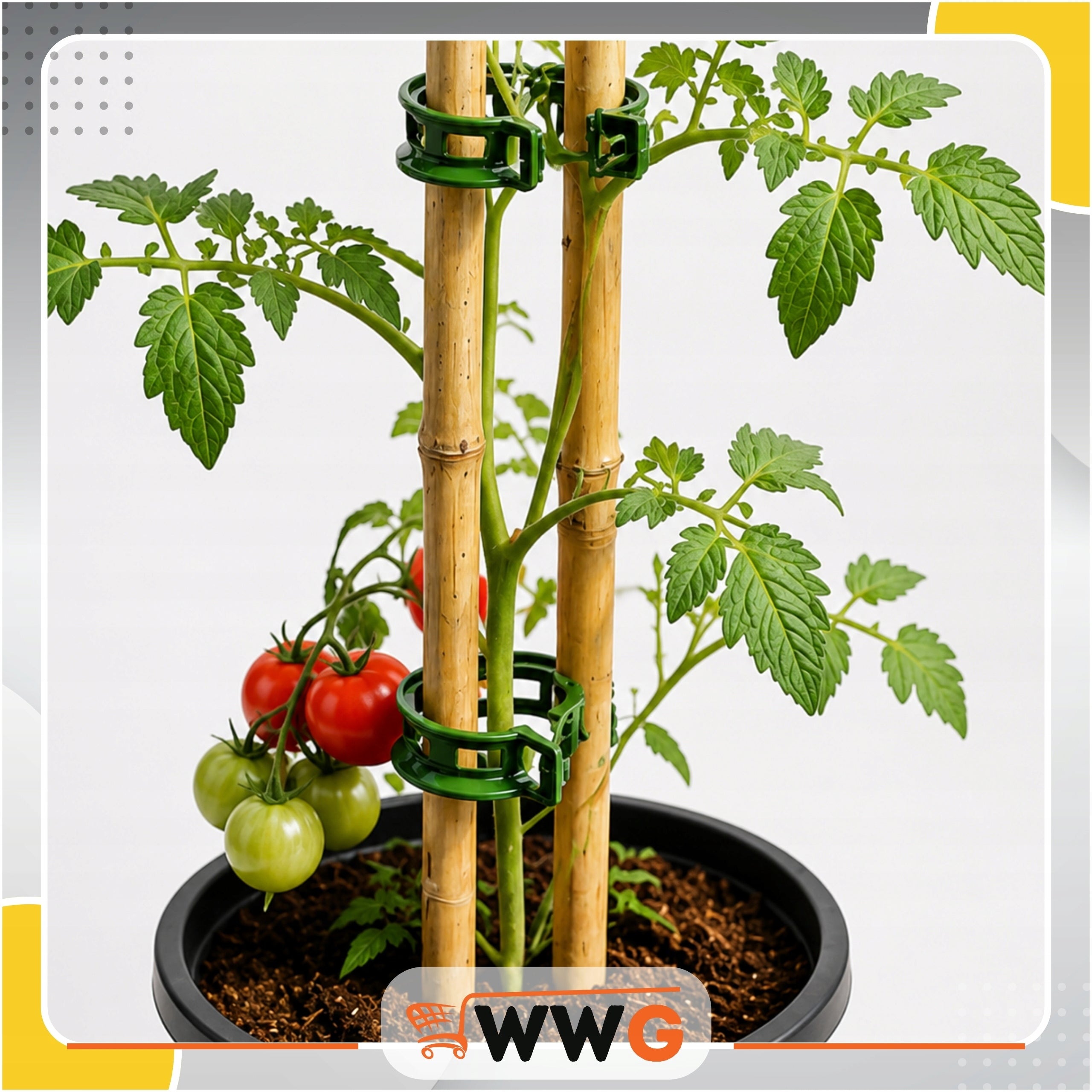 CLIPS CLASPS FOR FIXING PLANT TOMATOES SET OF 100 PCS FOR SHOOT STEMS Number of pieces 100 pcs