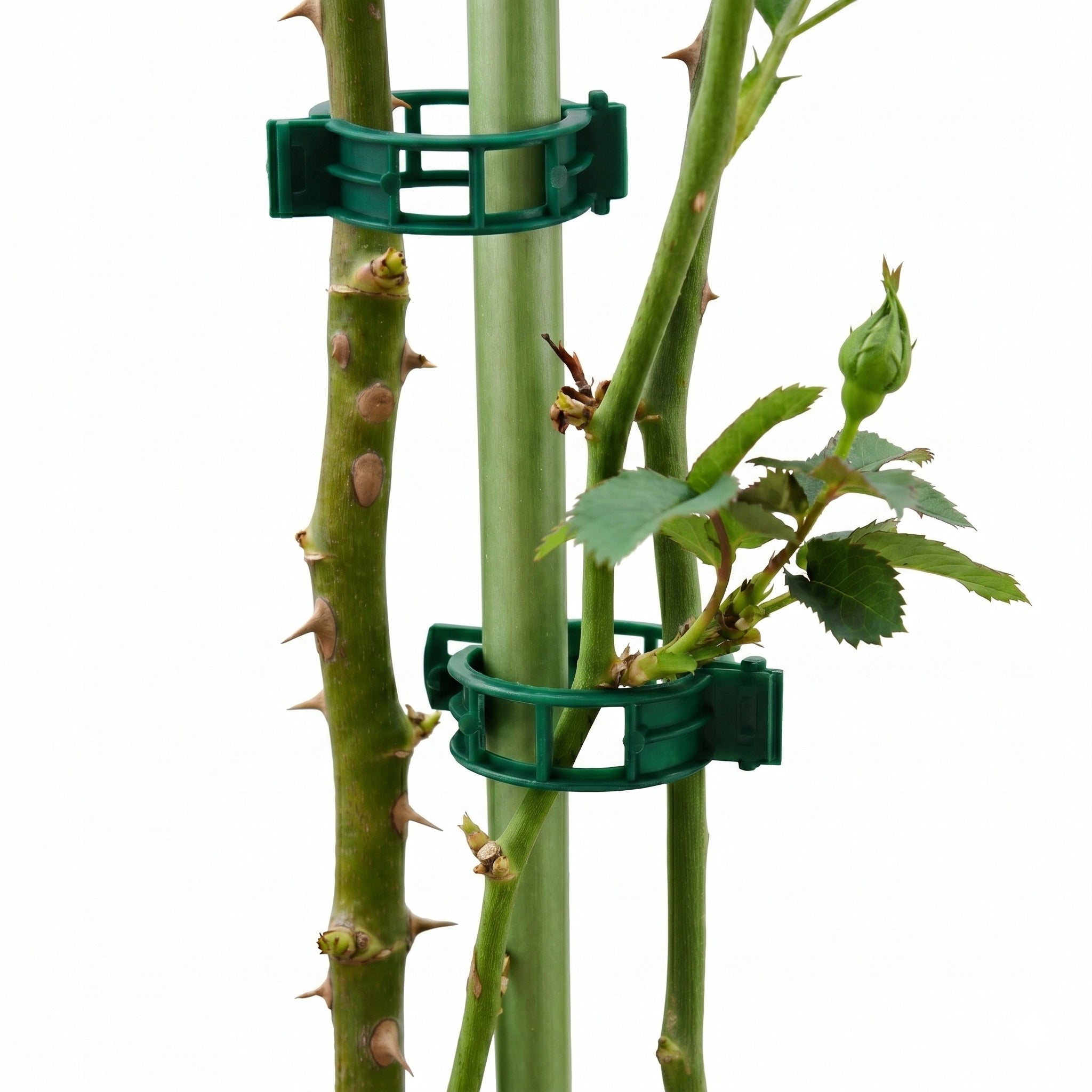 CLIPS CLASPS GARDEN HANDLES TOMATO CLIPS STEMS 50 PIECES Manufacturer code SPINKI OGRODNICZE ZAPINKI MOCOWANIA FASOLI