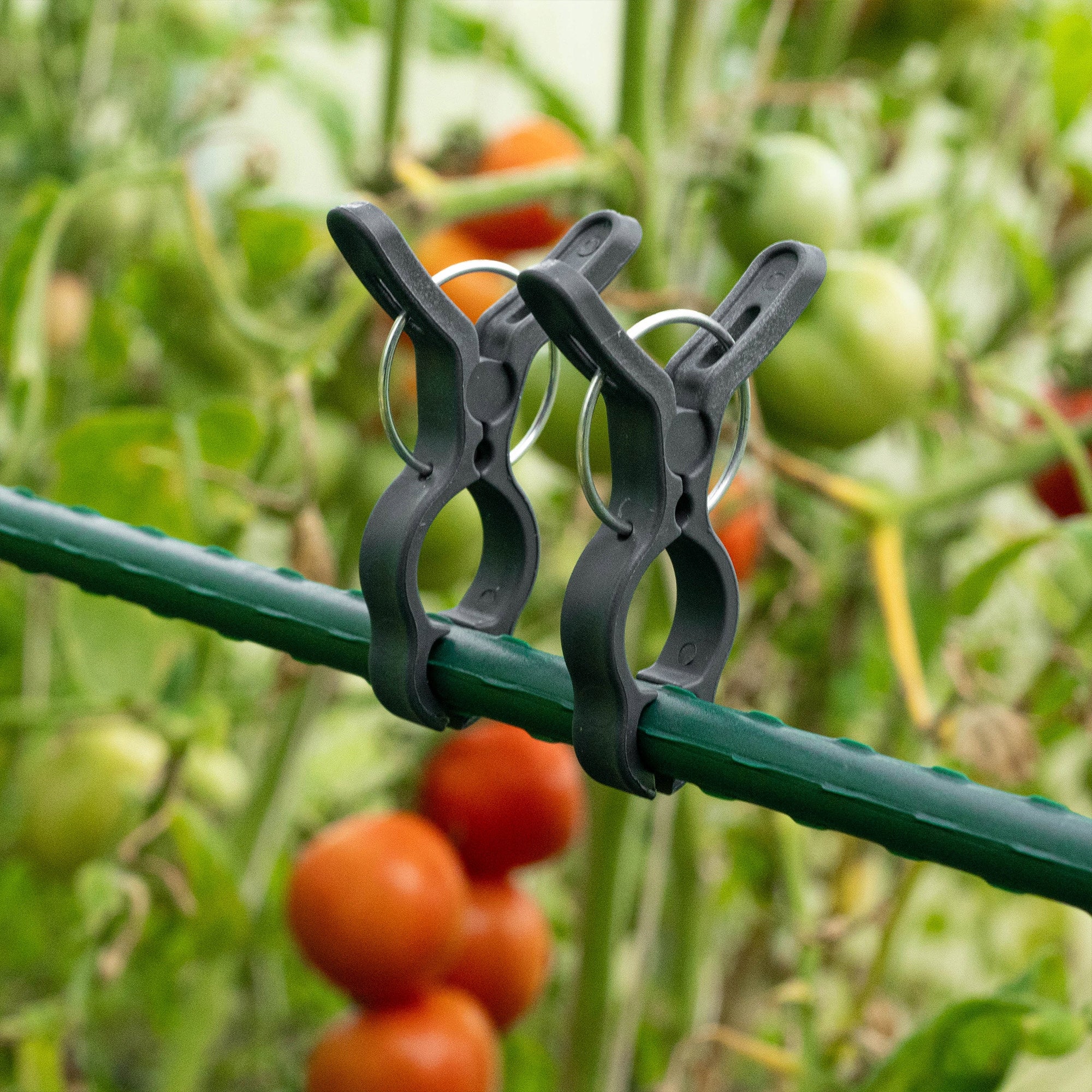 CLIPS FOR TOMATO PLANTS SHOTS BEAN STEM CLIPS CLIP 10pcs Manufacturer code K10723
