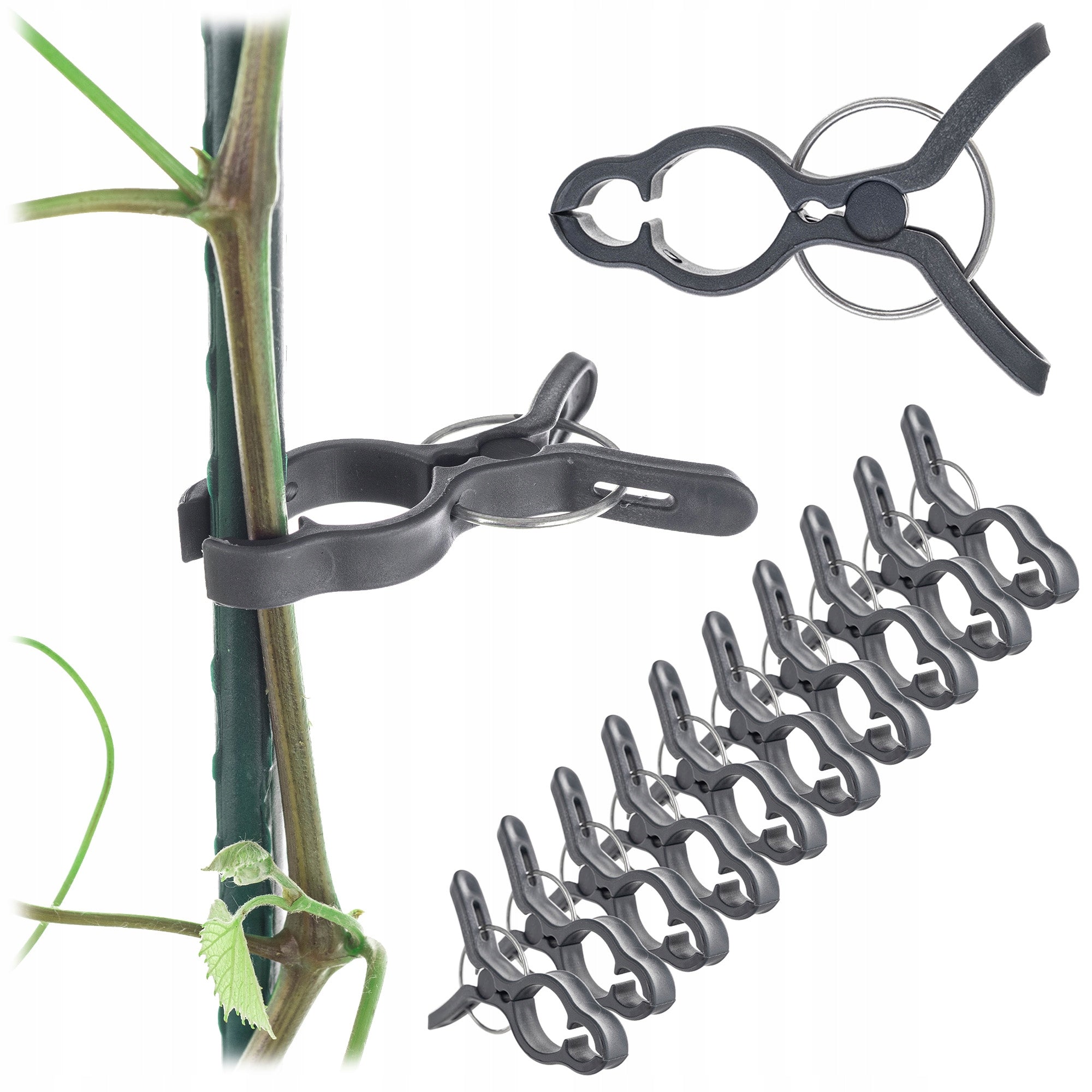 CLIPS FOR TOMATO PLANTS SHOTS BEAN STEM CLIPS CLIP 10pcs