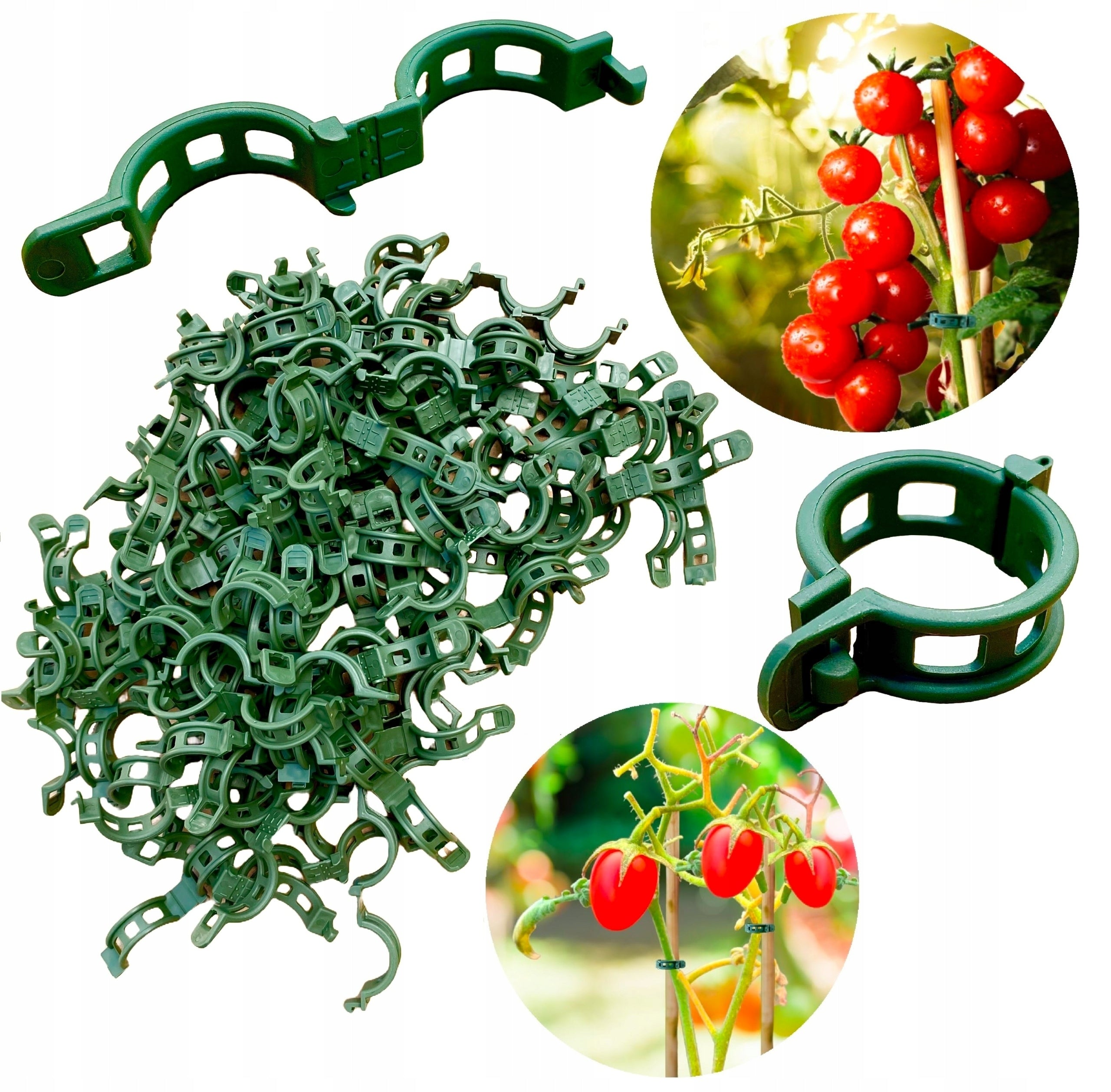 CLIPS FOR TOMATOES CLASPS HOLDER CLIPS FOR BEAN STEMS SHOOTS 100 PIECES Number of pieces 100 pcs