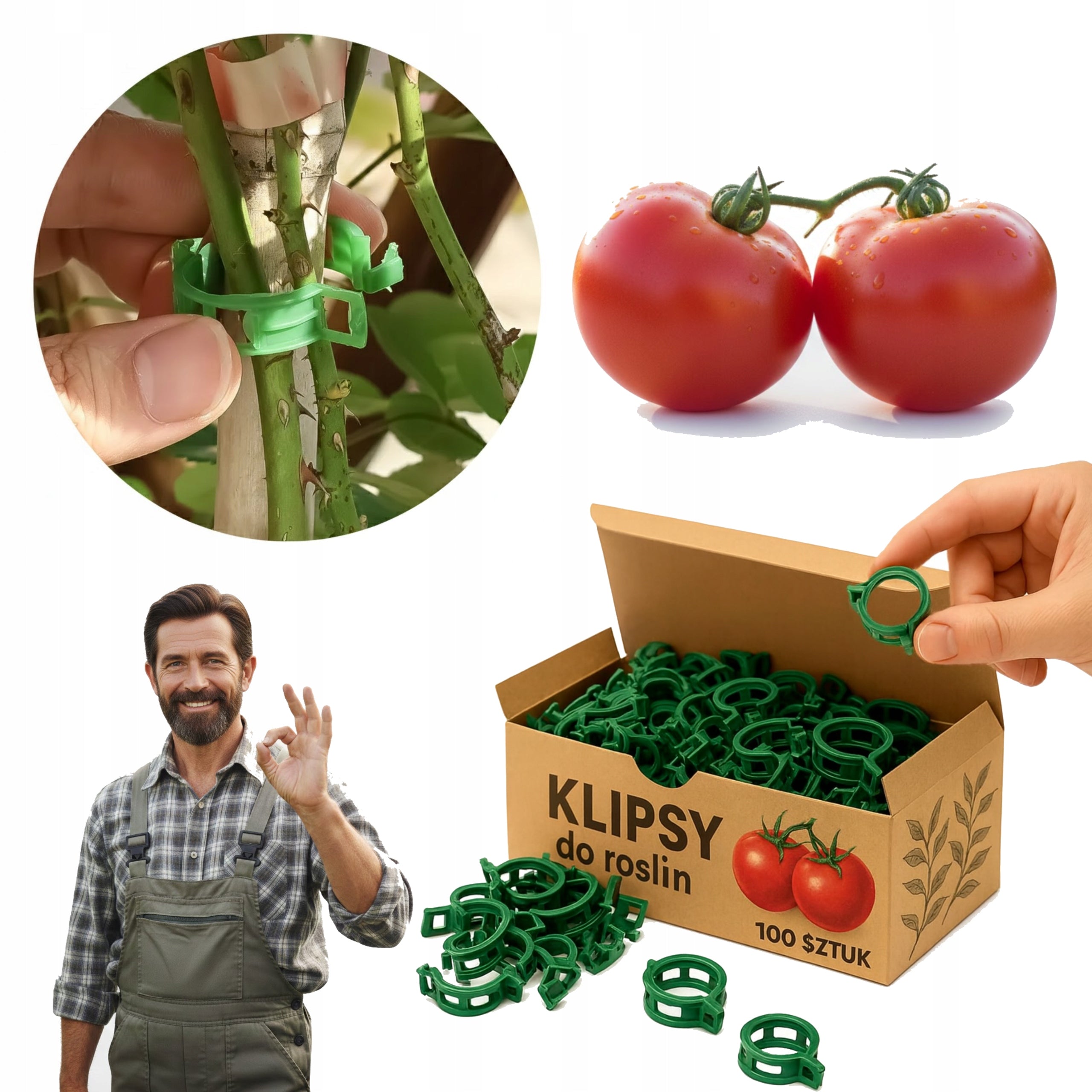 CLIPS FOR TOMATOES PLANTS CLASPS CLIP HOLDER FOR STEMS OF SHOOTS 100 PIECES