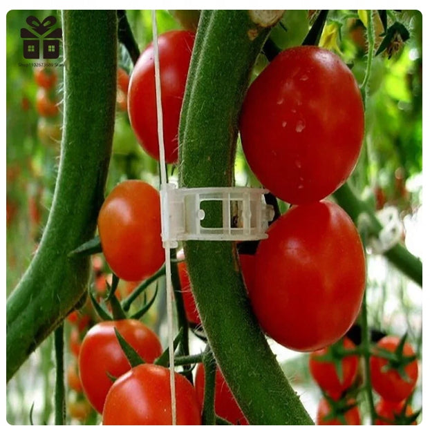 CLIPS HANDLE CLASP FOR STEMS TOMATO PLANT BRANCHES GREEN 100PCS Manufacturer code 5905247737694
