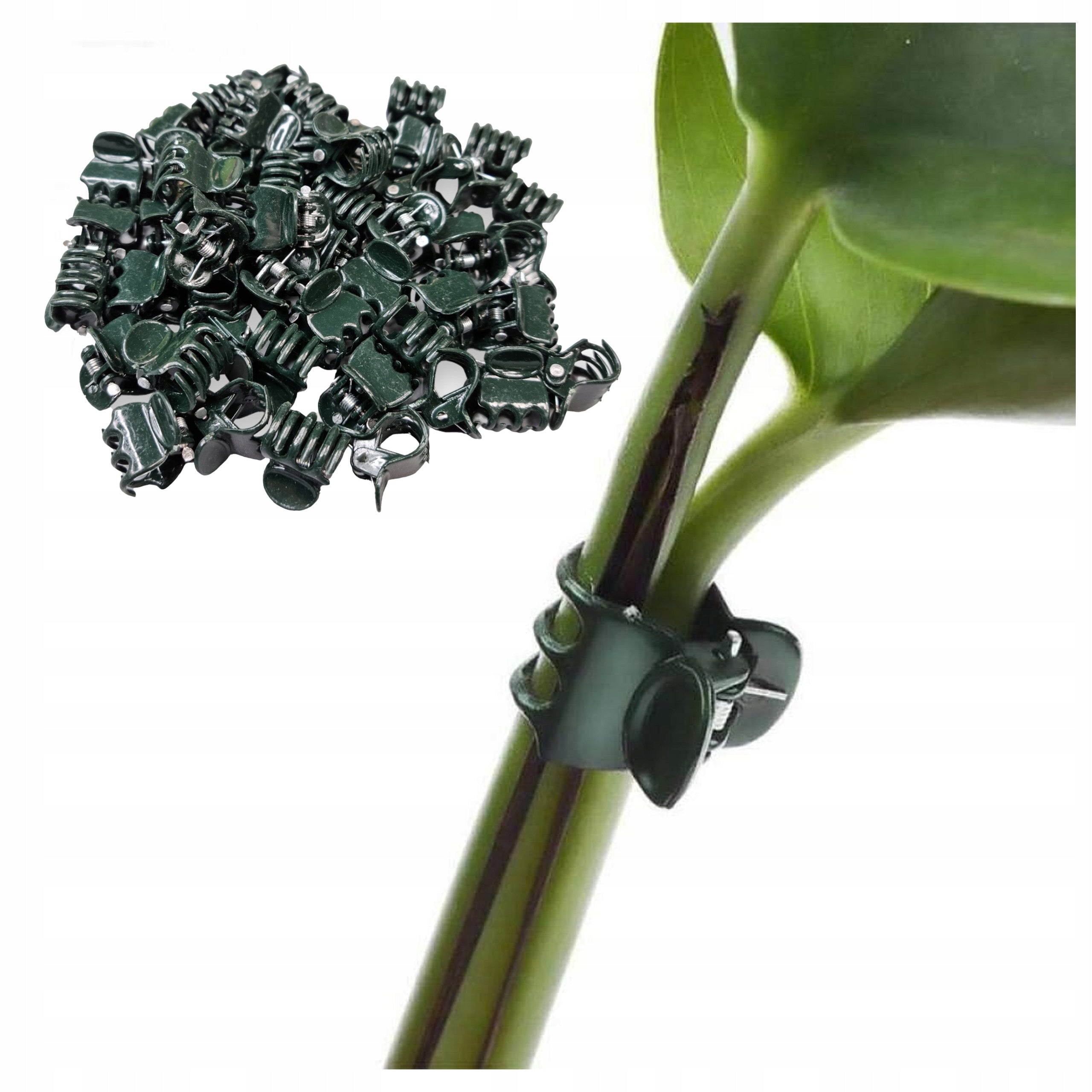 CLIPS PLANT CLIPS FOR PLANT ATTACHMENT 10PCS CLIP ORCHID CLIP Brand no brand