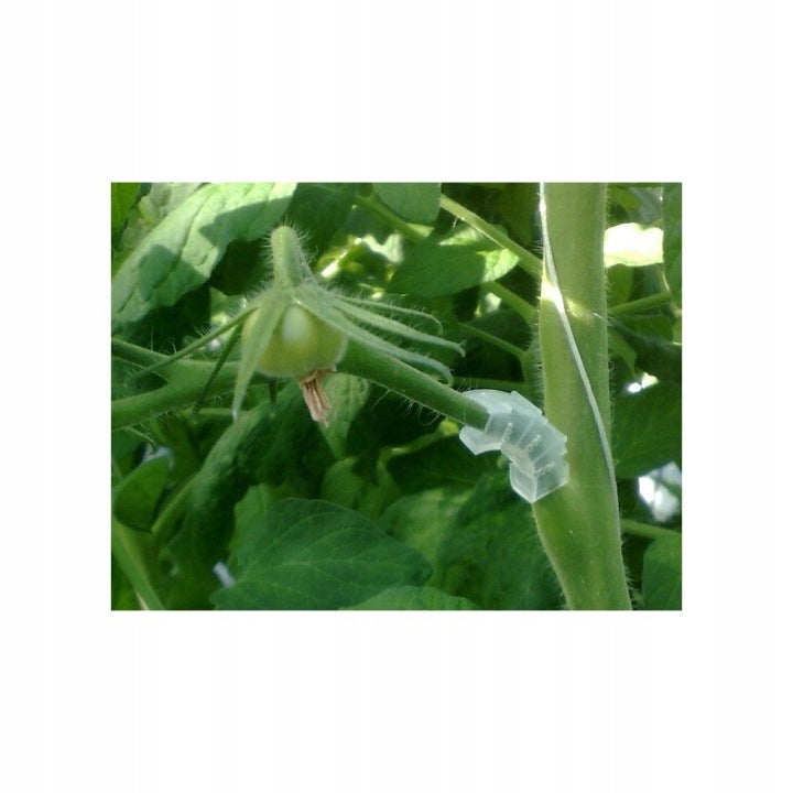CLIPS SUPPORT FOR TOMATOES PLANTS 100 PCS STEMS SHOOT ARCHES SHOOTS Brand Łatwa Uprawa