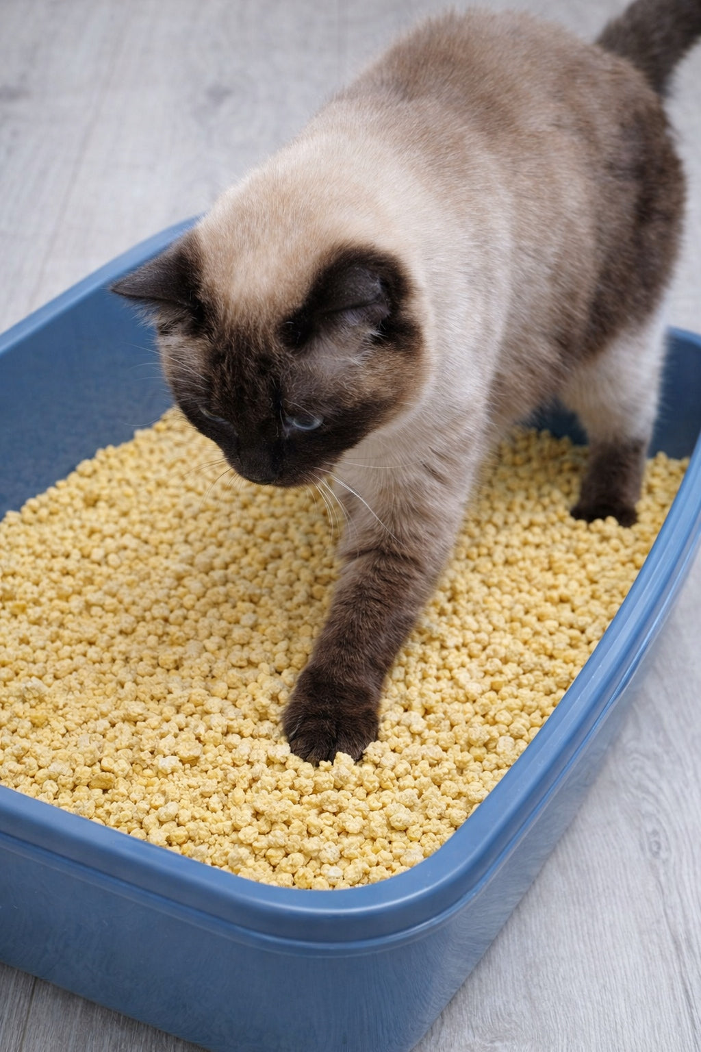 COARSE corn litter EKOTEK 20L for cats 12 kg Brand Ekotek
