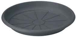 COASTER GALA 28 ANTHRACITE FLOWER COASTERS CHRYSANTHEMUM HEATHER RESISTANT