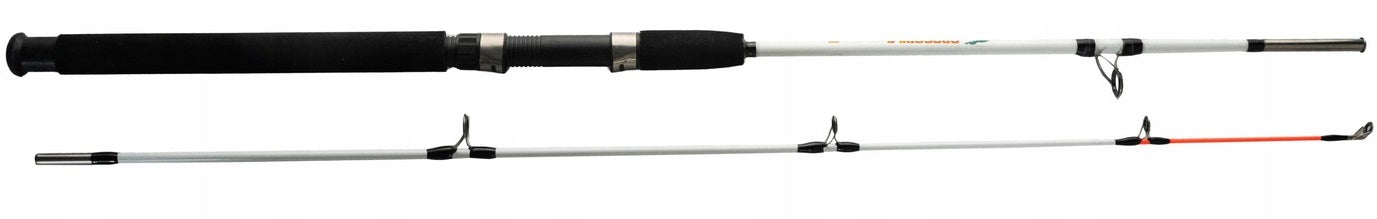 COD ROD INCLUDED IN THE PRICE SHOCK STRONG 1,8 m. c.w.100-250 gr. EAN (GTIN) 3583788193692