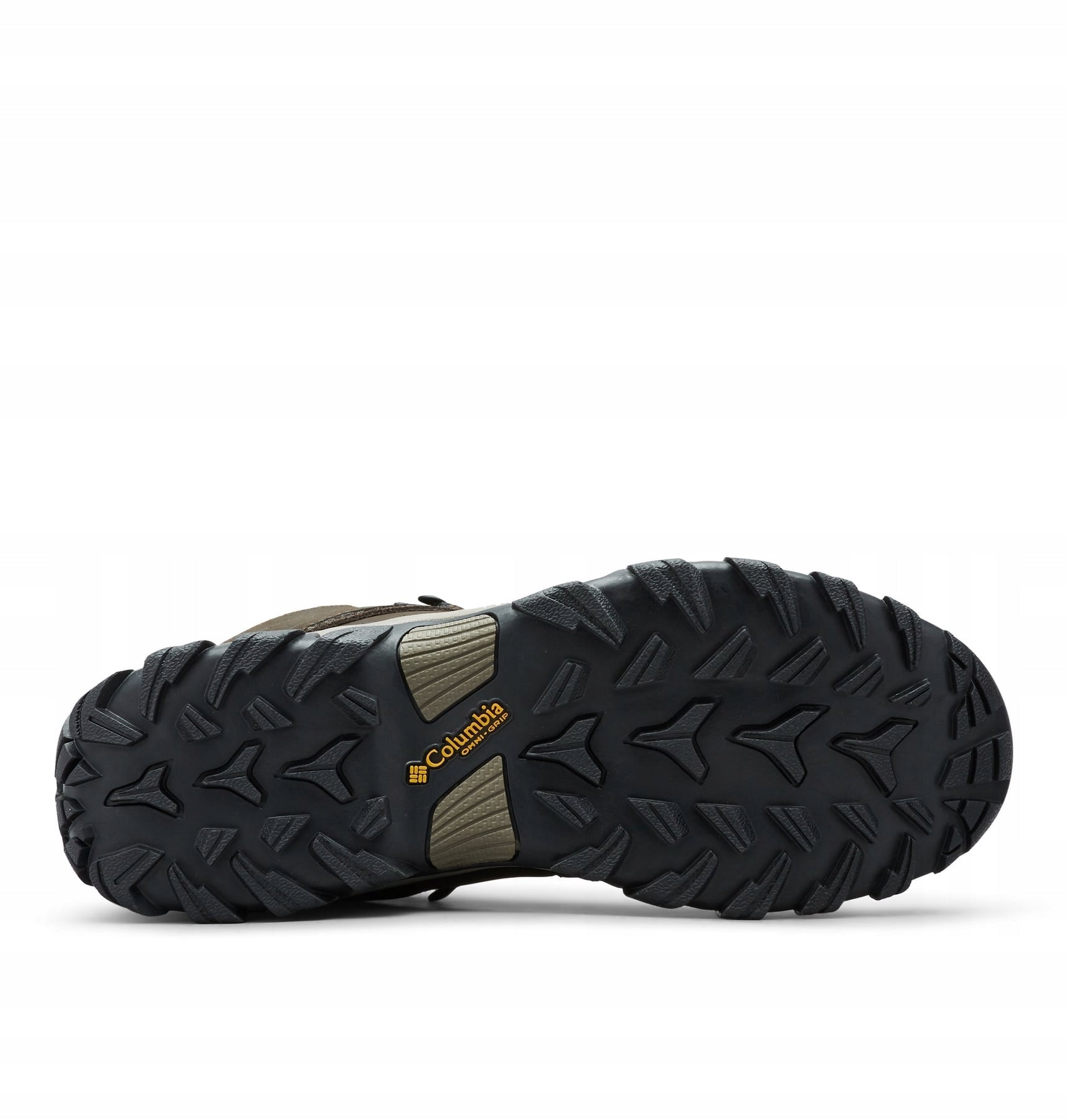 Žygio batai vyrams Columbia Newton Ridge Plus II M 1594731231, rudi