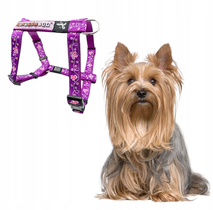 COMFORTABLE PRESSURE-FREE PURPLE DOG GUARD BRACES ADJUSTABLE SIZE S
