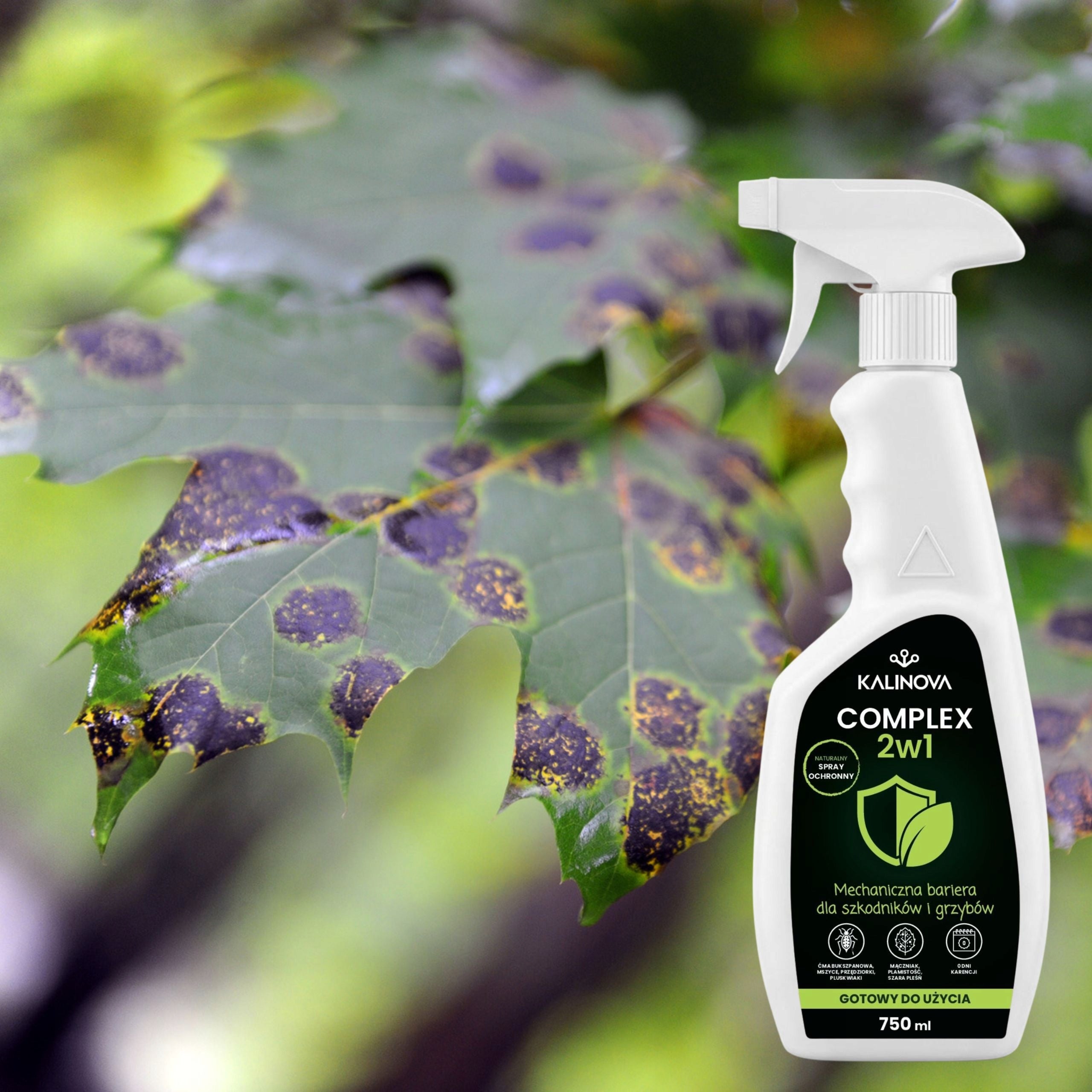 COMPLEX 2in1 Insecticide Spray Fungicidal Pests Aphid Diseases Purpose fungicides against pests