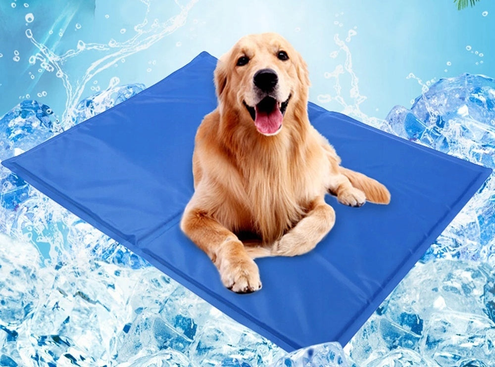 COOLING MAT FOR CAT DOG 50x40cm XXL BED Product width 40 cm
