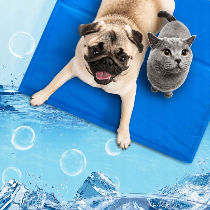 COOLING MAT FOR DOG AND CAT ON HOT DAYS 90x50 GEL WOODPORNE Product width 50 cm