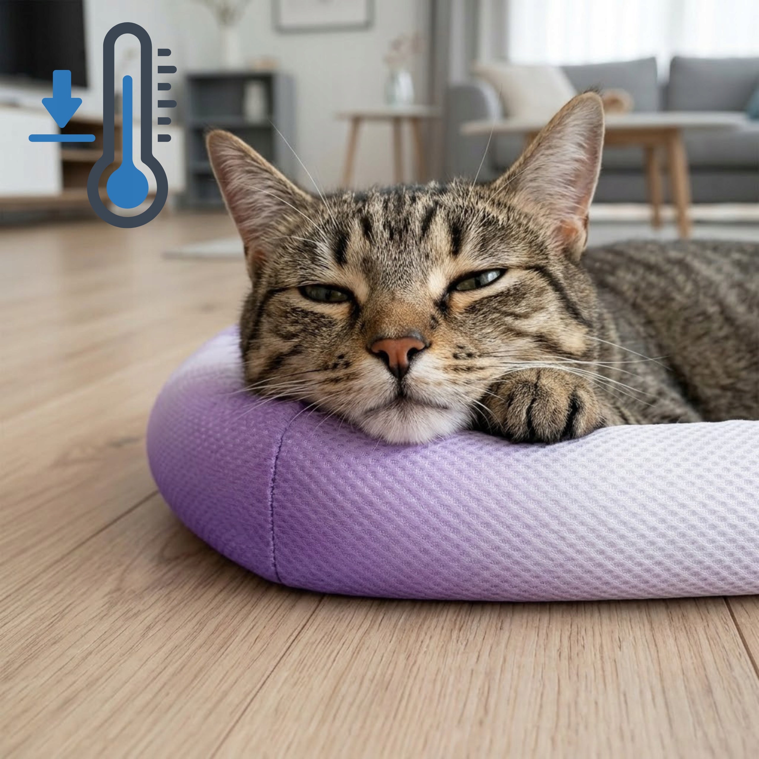 COOLING MAT FOR DOG CAT PETS | 65x50 cm | BREATHABLE Brand SIEMIEC