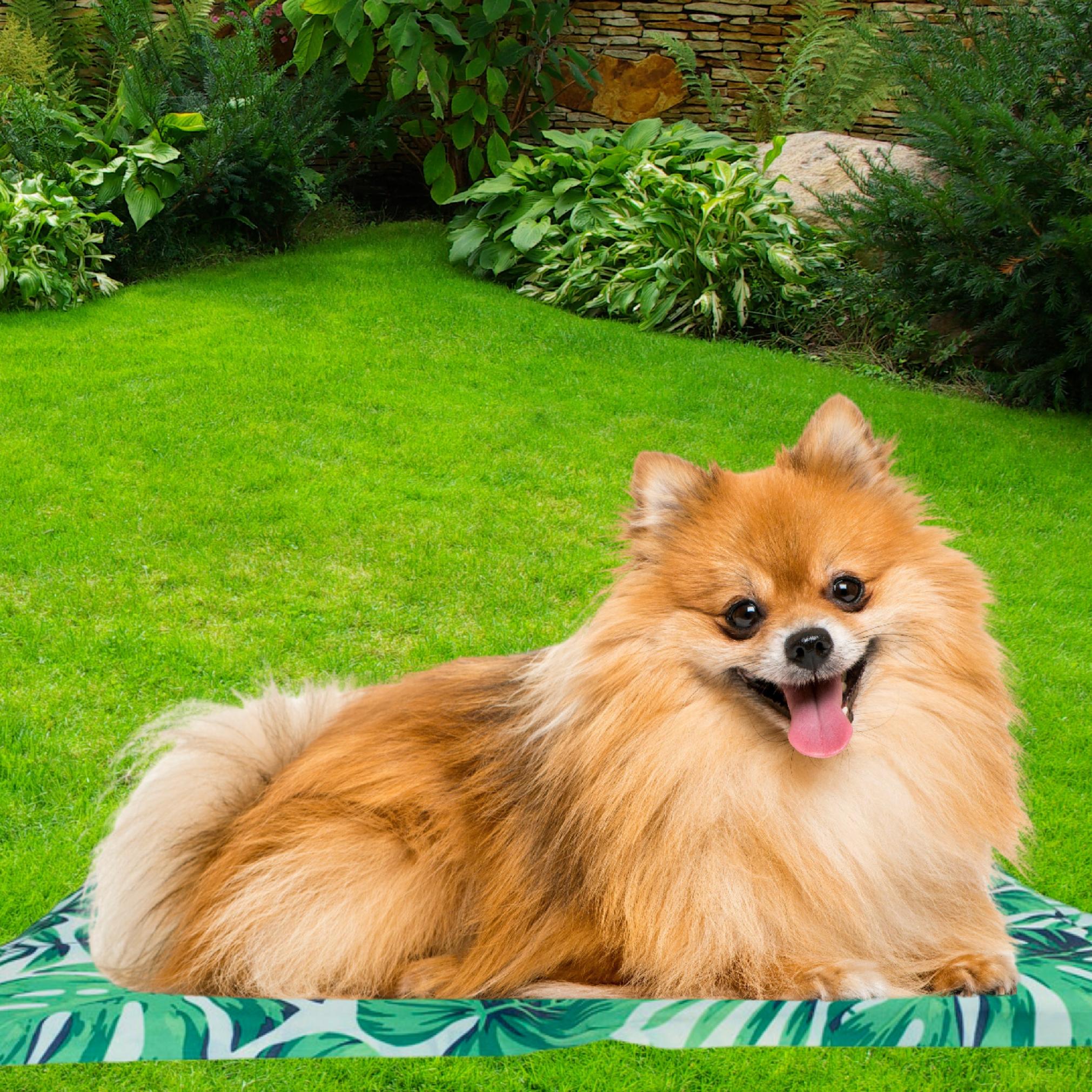 COOLING mat for small cat dog waterproof for SUMMER HEAT S 30x40 Manufacturer code mata ICE S 30 x 40