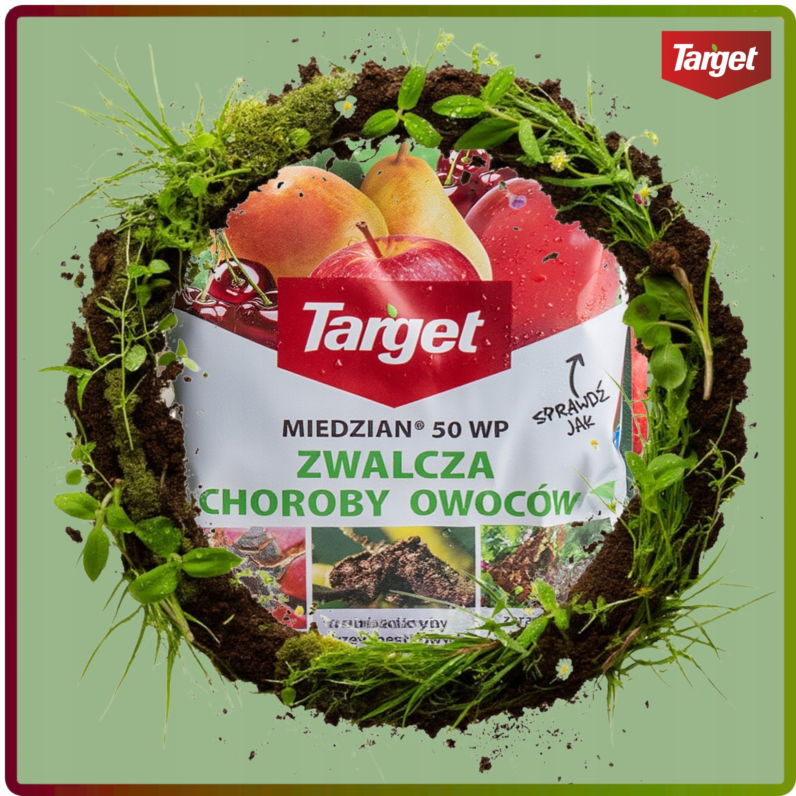 COPPER 50 WP Target Spray Fights Fruit Diseases Parch Plague Cancer 300G Manufacturer code 00001