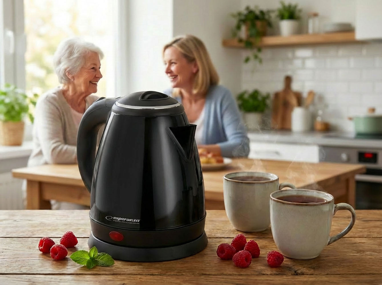 CORDLESS ELECTRIC KETTLE SMALL 1L 1350W STEEL ESPERANZA Manufacturer code 197857554