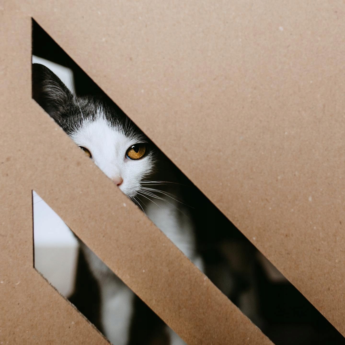 CUBE Cardboard Cat House - Booth Bed Cardboard Booth - Brown Product width 35 cm