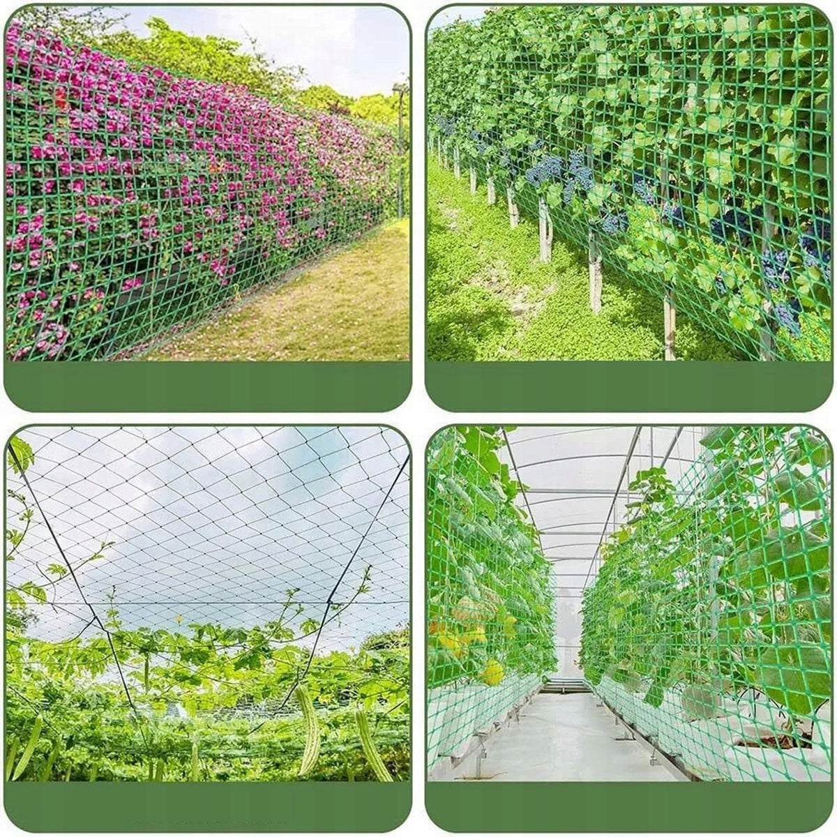 CUCUMBER NET FOR CLIMBING PLANTS 2x 5m VEGETABLES TOMATOES GARDEN SUPPORT EAN (GTIN) 6910334155267