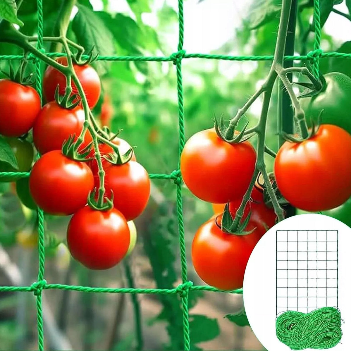 CUCUMBER NET FOR CLIMBING PLANTS 2x 5m VEGETABLES TOMATOES GARDEN SUPPORT Manufacturer no brand