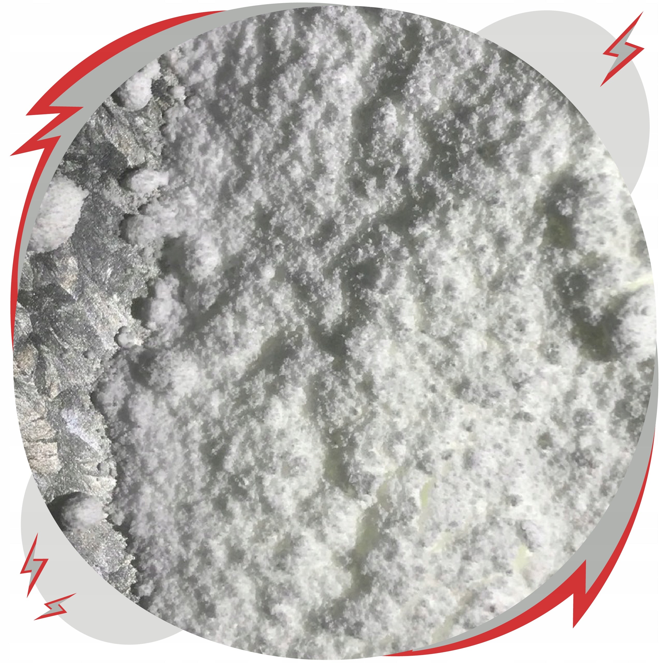 Caffeine Anhydrous Powder 100g Good Price Pure Packaging status original
