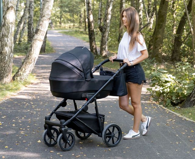 Camarelo Alterro | Trolley 2in1 | 01 | Stroller Gondola + Accessories Brand Camarelo