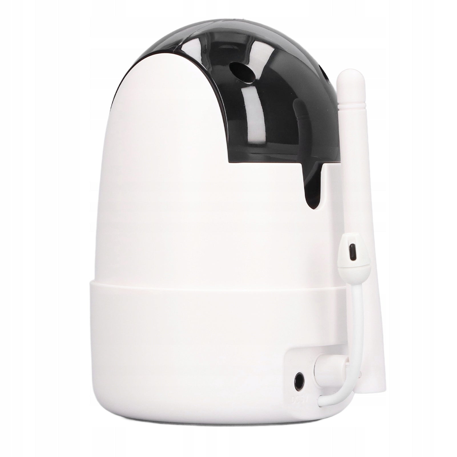 Camera for electronic nanny. Two-way conversation Wireless VB Kind other